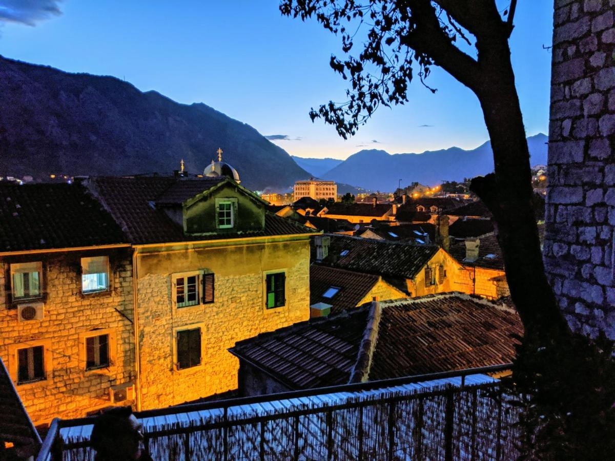 Best View! Rooftop With Garden - Old Town Nr404 Котор Экстерьер фото